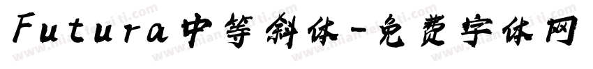 Futura 中等 斜体字体转换